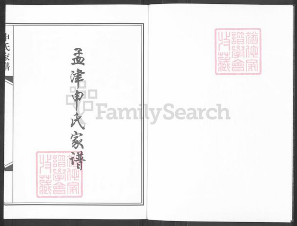 河南省洛阳市孟津县麻屯镇申氏族谱-孟津申氏家谱.pdf电子版插图1