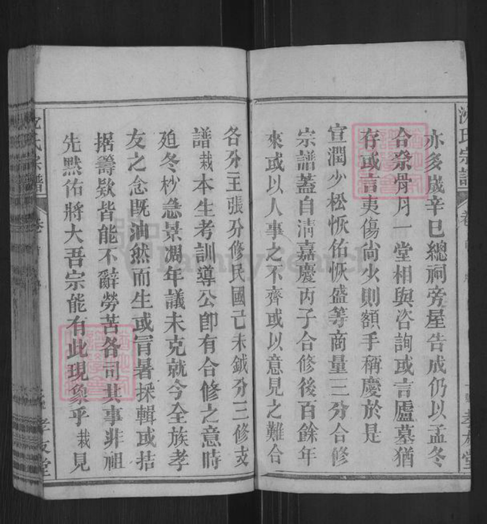 湖北省黄冈市麻城市沈氏孝友堂族谱-沈氏宗谱.pdf电子版插图2