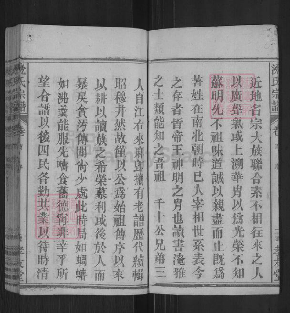 湖北省黄冈市麻城市沈氏孝友堂族谱-沈氏宗谱.pdf电子版插图3