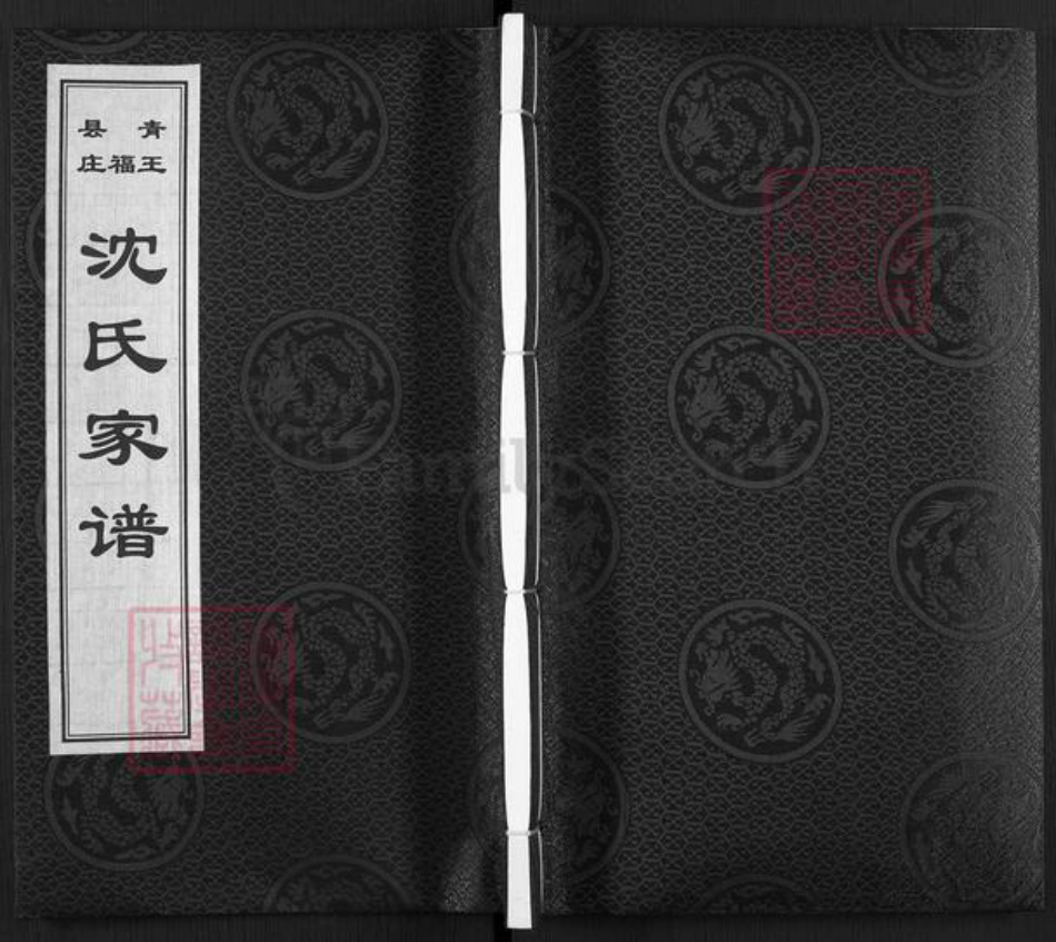 河北省沧州青县金牛镇沈氏族谱-青县王福庄沈氏家谱.pdf电子版插图 河北省沧州青县金牛镇沈氏族谱-青县王福庄沈氏家谱.pdf电子版插图