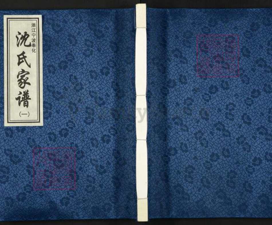 浙江省宁波市奉化区裘村镇沈氏族谱-浙江宁波奉化沈氏家谱.pdf电子版