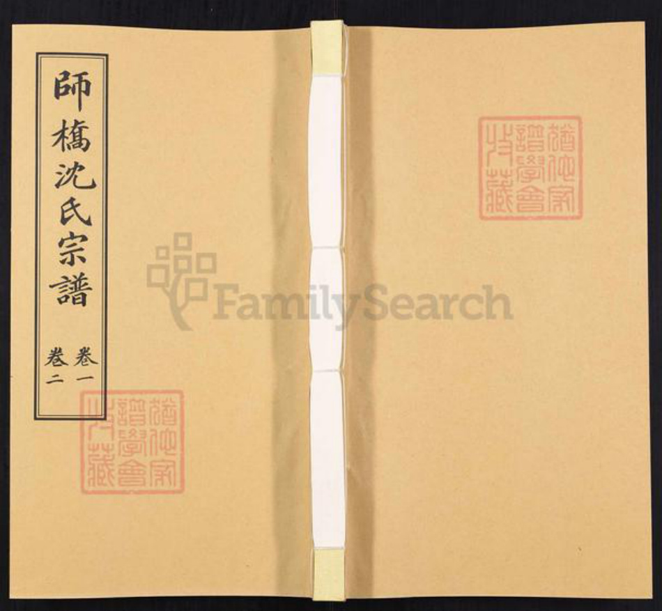 浙江省沈氏族谱-师桥沈氏宗谱[15卷].pdf电子版