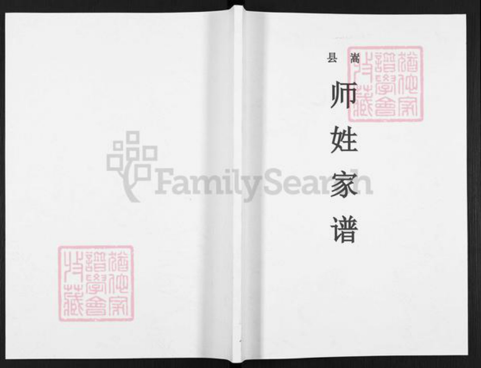 河南省洛阳市嵩县大坪乡师氏族谱-嵩县师姓家谱.pdf电子版