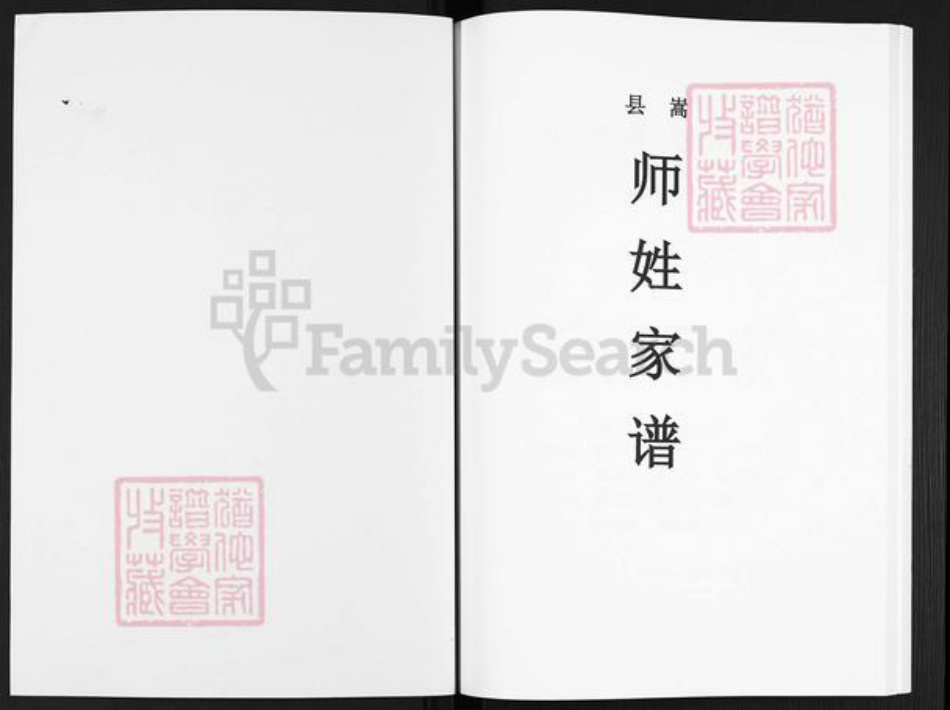 河南省洛阳市嵩县大坪乡师氏族谱-嵩县师姓家谱.pdf电子版插图1