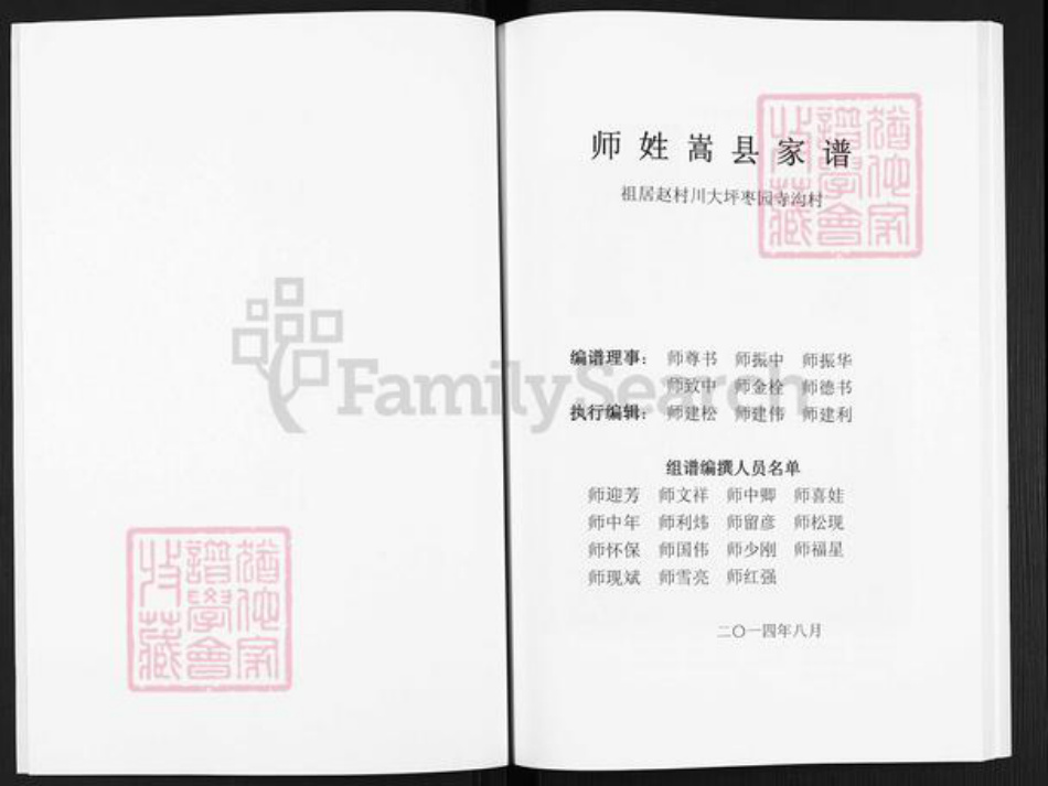 河南省洛阳市嵩县大坪乡师氏族谱-嵩县师姓家谱.pdf电子版插图2