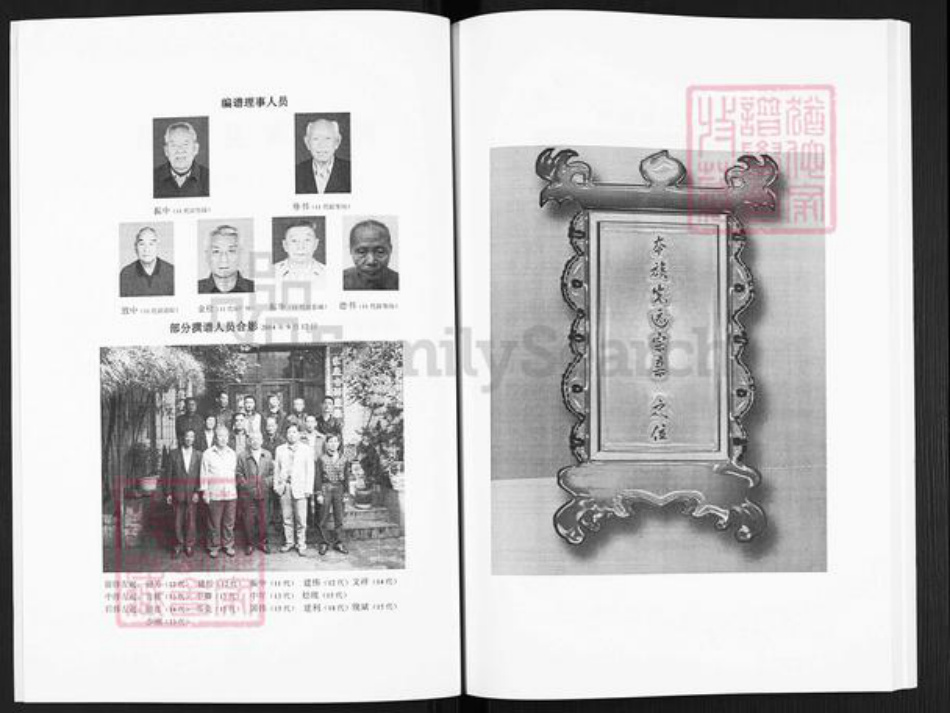 河南省洛阳市嵩县大坪乡师氏族谱-嵩县师姓家谱.pdf电子版插图3