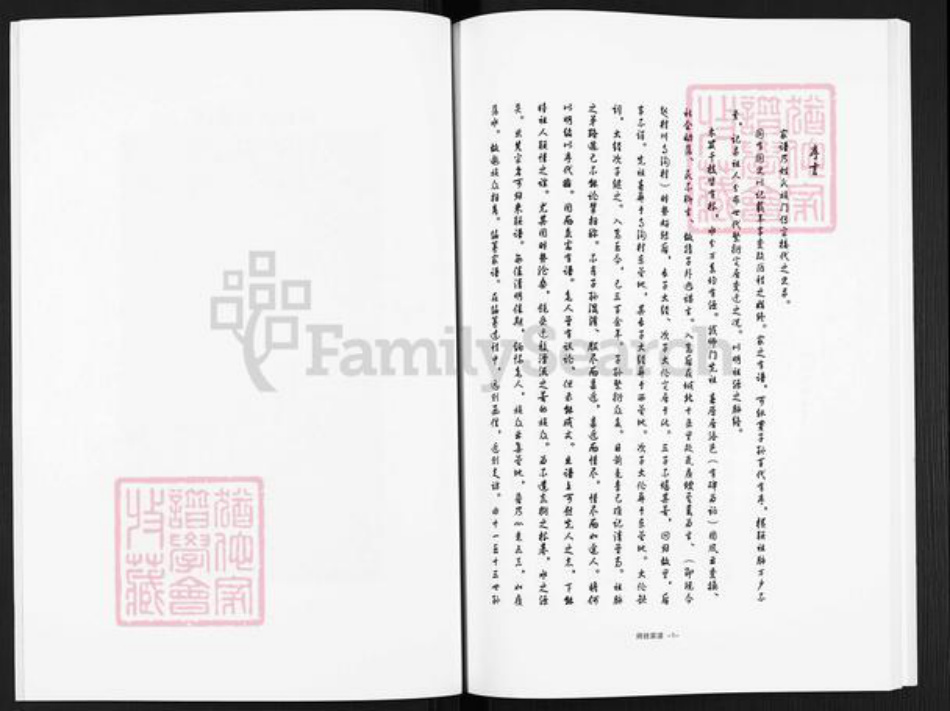 河南省洛阳市嵩县大坪乡师氏族谱-嵩县师姓家谱.pdf电子版插图5