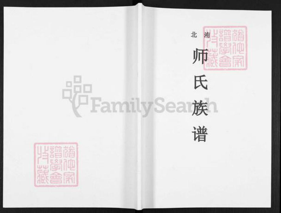 河南省开封市尉氏县洧川镇师氏族谱-洧北师氏族谱.pdf电子版