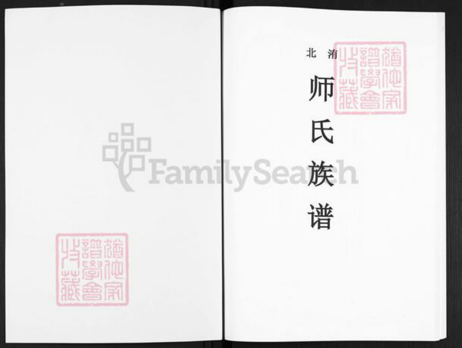 河南省开封市尉氏县洧川镇师氏族谱-洧北师氏族谱.pdf电子版插图1