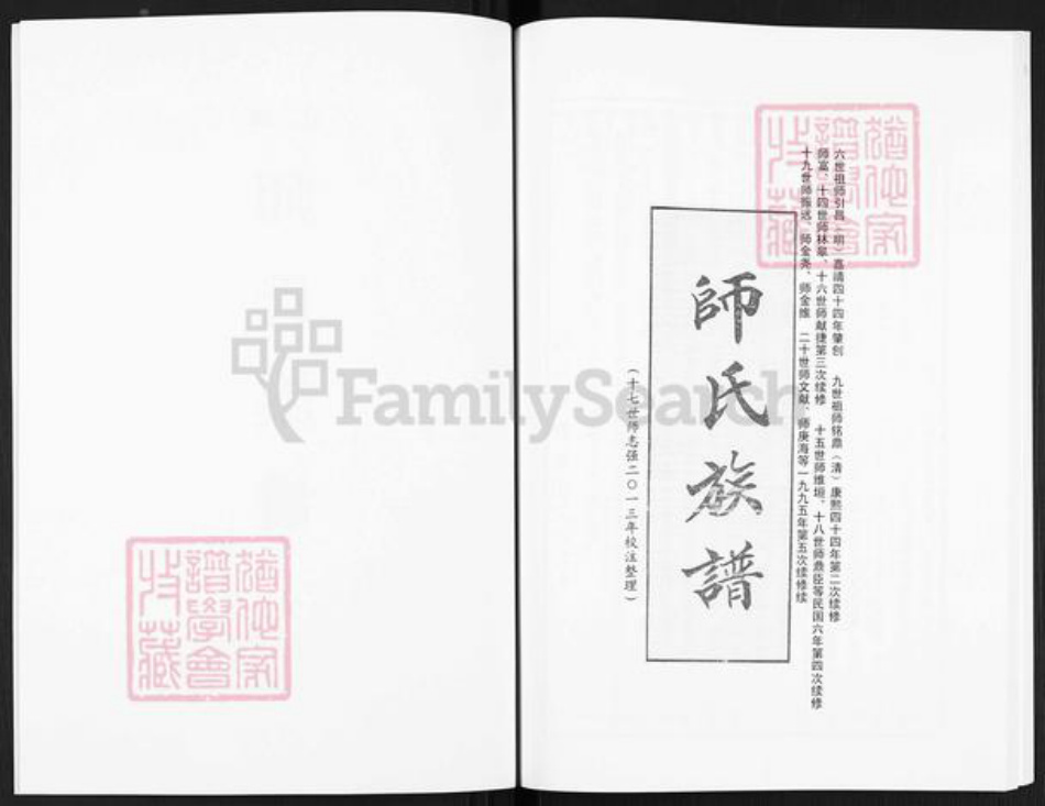 河南省开封市尉氏县洧川镇师氏族谱-洧北师氏族谱.pdf电子版插图2