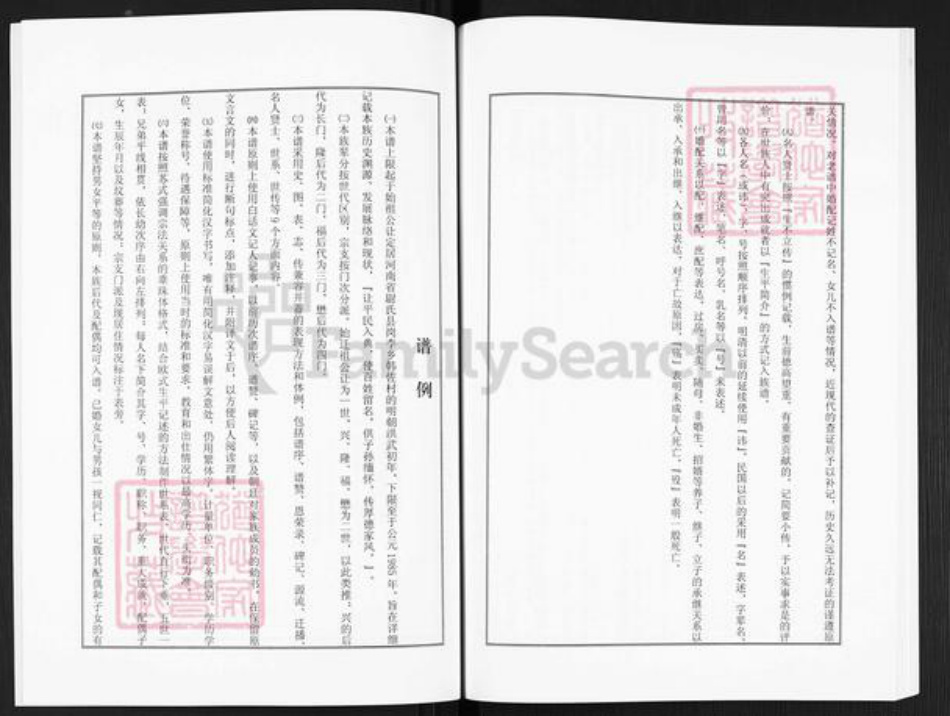 河南省开封市尉氏县洧川镇师氏族谱-洧北师氏族谱.pdf电子版插图5