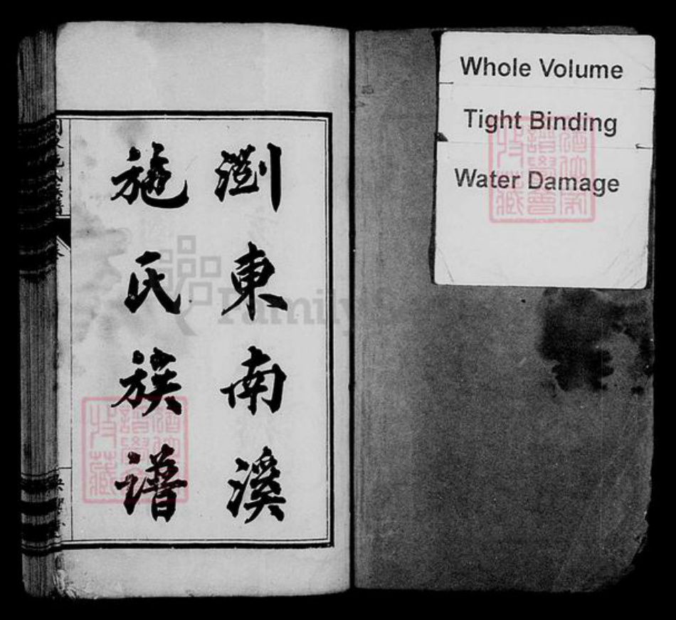 湖南省长沙市浏阳市浏阳施氏族谱-浏东南溪施氏族谱 [10卷,末1卷].pdf电子版插图1
