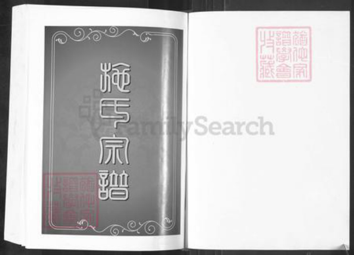 湖北省黄冈市麻城市宋端口镇施氏宗伯堂族谱-施氏宗谱.pdf电子版插图1