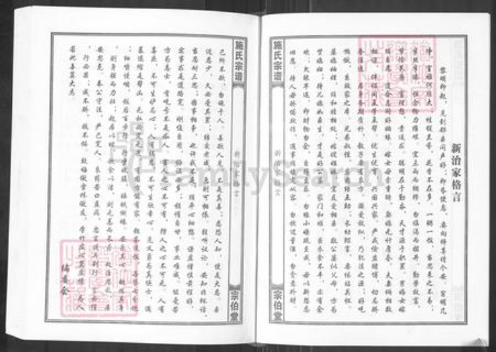 湖北省黄冈市麻城市宋端口镇施氏宗伯堂族谱-施氏宗谱.pdf电子版插图5