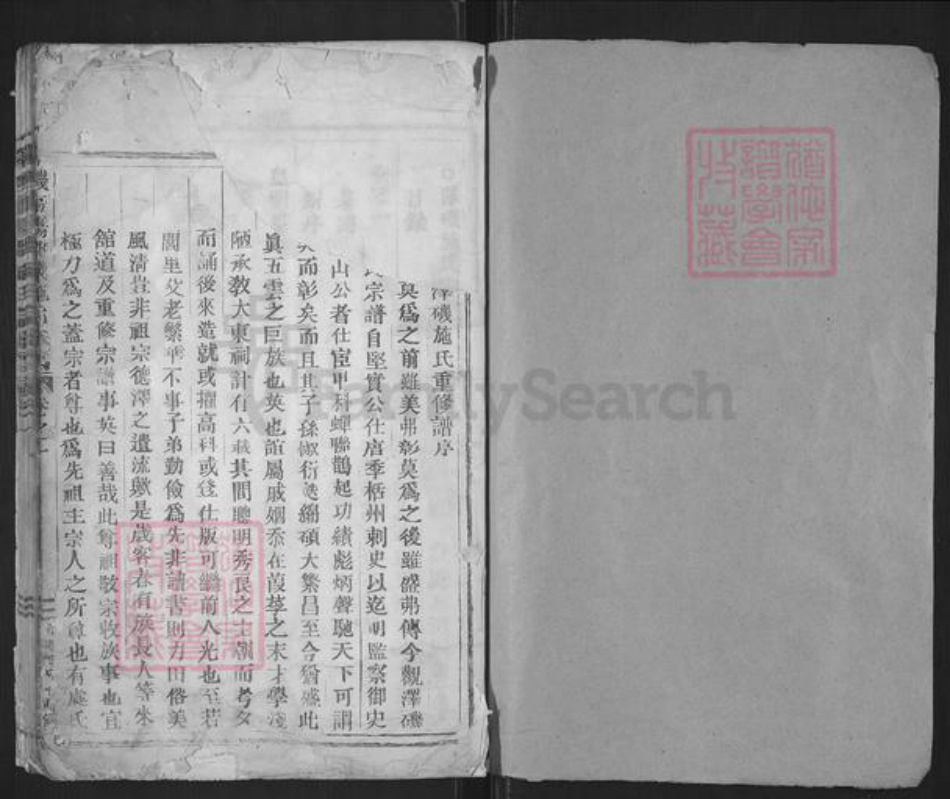 浙江省丽水市缙云县施氏族谱-泽几东阳郡施氏宗谱.pdf电子版插图1