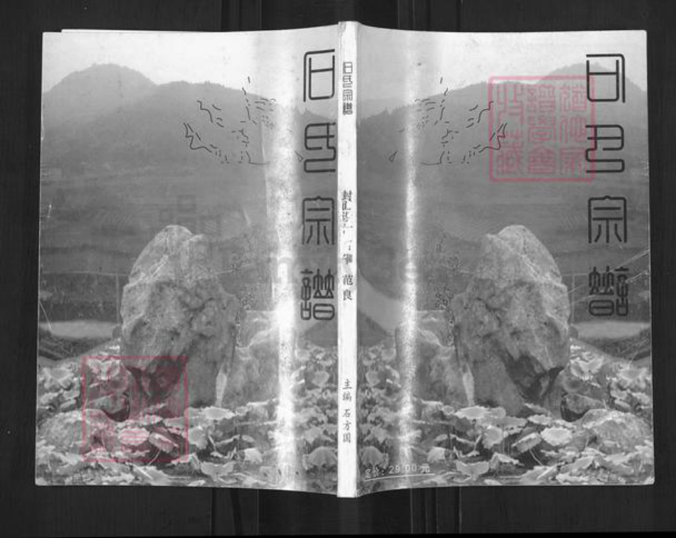 四川省德阳市中江县继光镇石氏族谱-石氏宗谱.pdf电子版