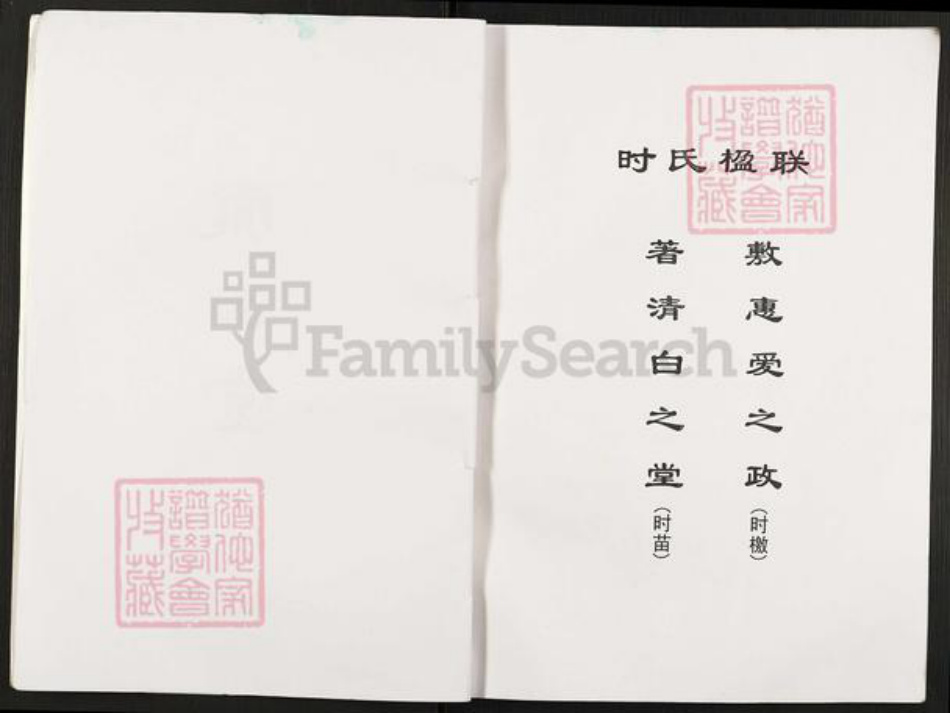 江苏省淮安市淮阴区徐溜镇时氏陇西堂族谱-时氏族谱.pdf电子版插图2 江苏省淮安市淮阴区徐溜镇时氏陇西堂族谱-时氏族谱.pdf电子版插图2