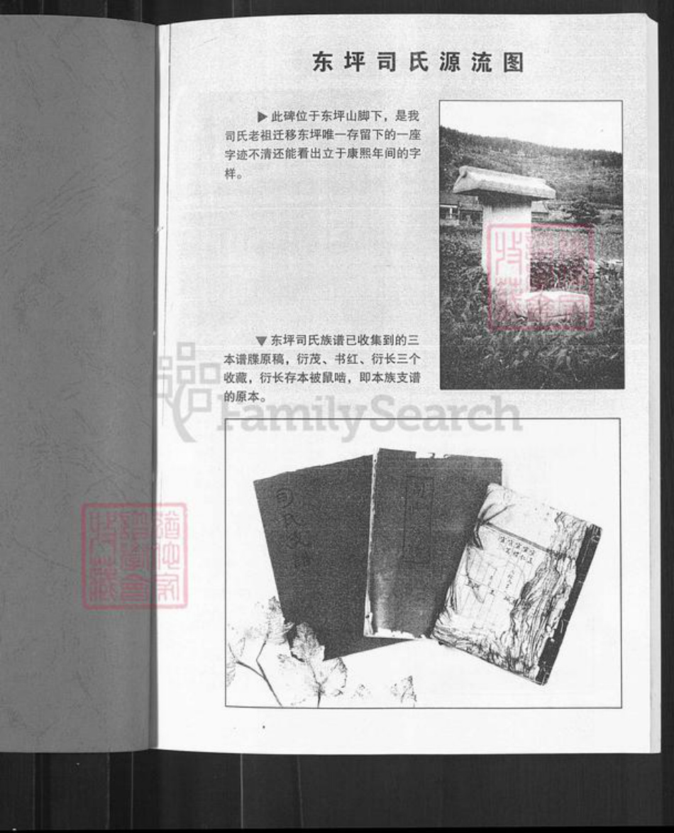 山东省淄博市淄川区司氏族谱-司氏族谱.pdf电子版插图1 山东省淄博市淄川区司氏族谱-司氏族谱.pdf电子版插图1