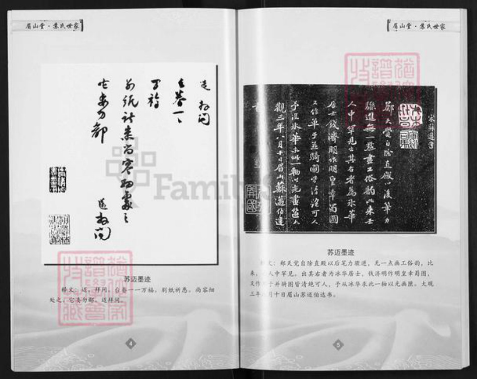 安徽省宿州市萧县官桥镇苏氏眉山堂族谱-苏氏世家.pdf电子版插图4