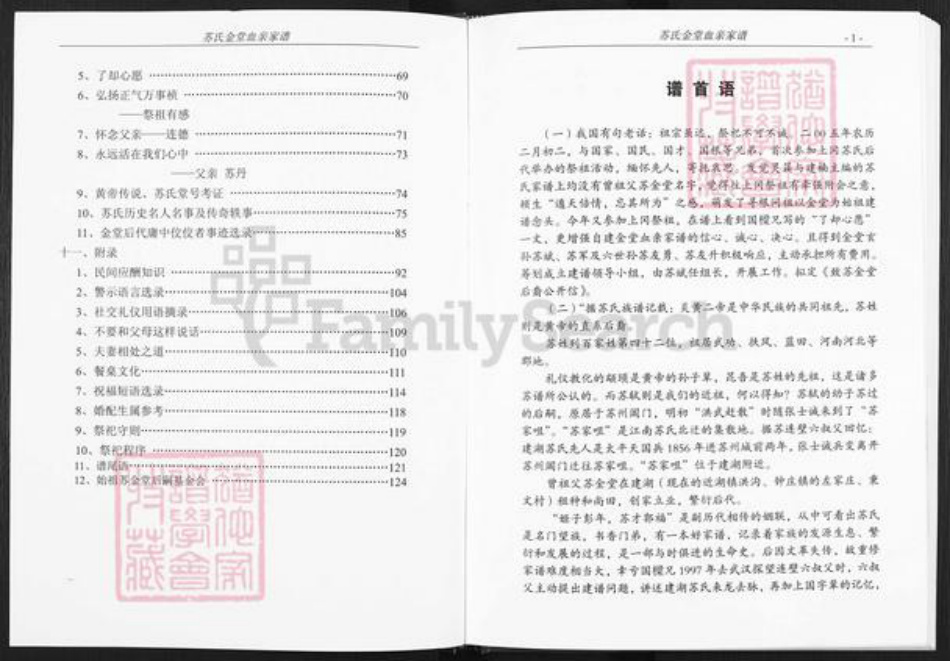 江苏省盐城市建湖县钟庄街道苏氏武功堂族谱-苏氏金堂血亲家谱.pdf电子版插图4