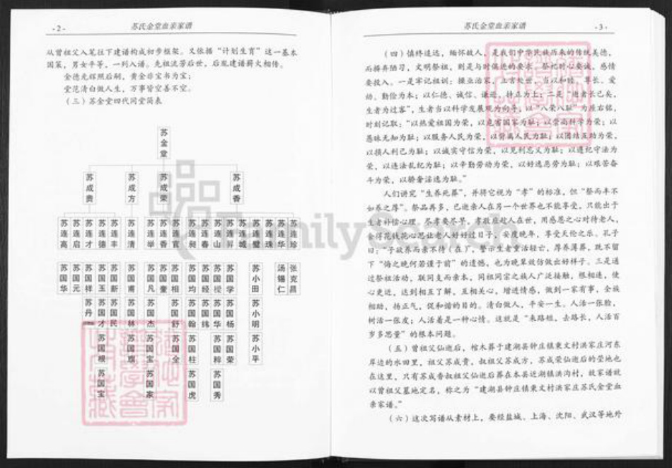江苏省盐城市建湖县钟庄街道苏氏武功堂族谱-苏氏金堂血亲家谱.pdf电子版插图5