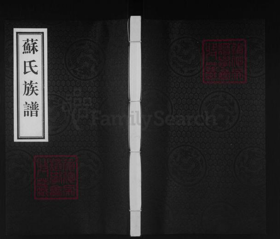 山东省德州市宁津县苏氏族谱-苏氏族谱.pdf电子版插图