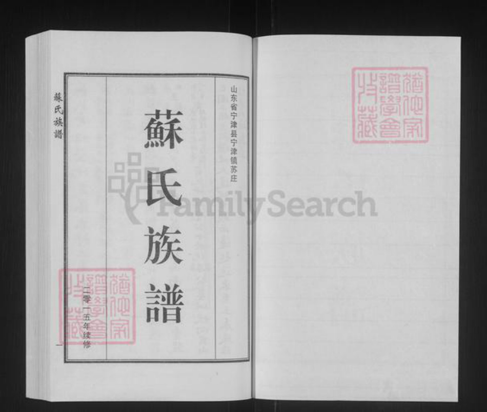 山东省德州市宁津县苏氏族谱-苏氏族谱.pdf电子版插图1