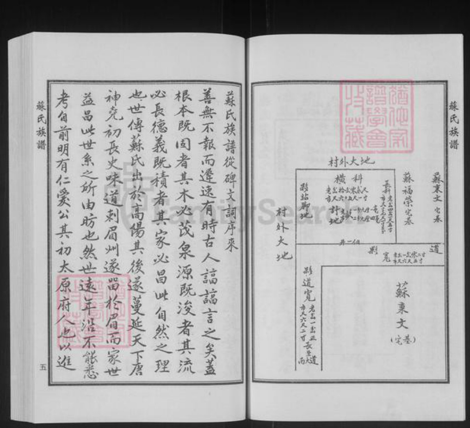 山东省德州市宁津县苏氏族谱-苏氏族谱.pdf电子版插图5