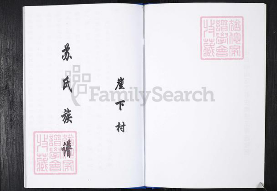 山东省青岛市崂山区苏氏族谱-王哥庄社区苏氏族谱.pdf电子版插图2