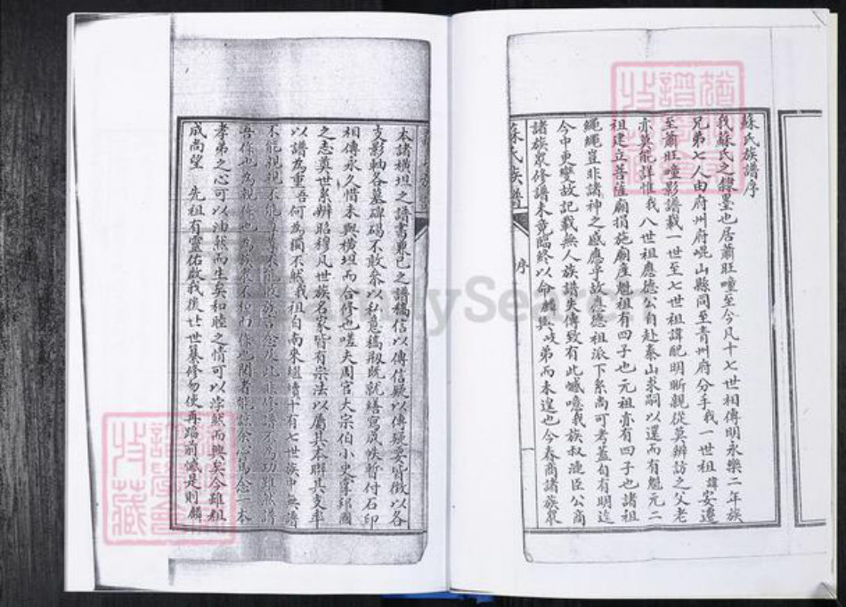 山东省青岛市崂山区苏氏族谱-曲家庄社区苏氏族谱.pdf电子版插图4