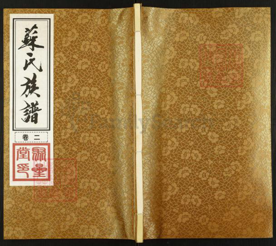 江苏省常州市苏氏聚星堂族谱-苏氏族谱后塘派.pdf电子版插图