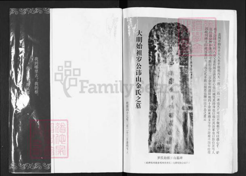 江苏省宿迁市沭阳县岁氏族谱-岁氏家谱.pdf电子版插图1
