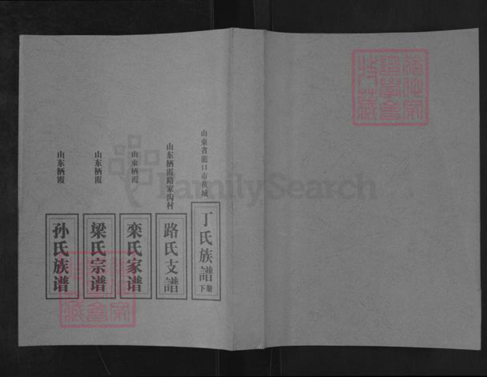 山东省烟台市栖霞市孙氏族谱-西杏山村孙氏族谱.pdf电子版插图
