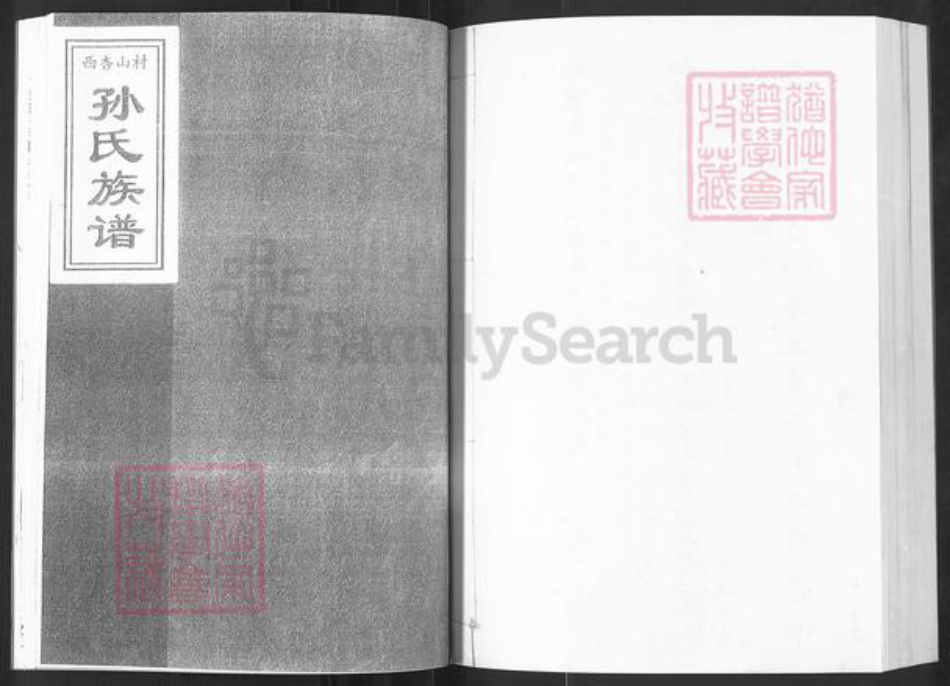 山东省烟台市栖霞市孙氏族谱-西杏山村孙氏族谱.pdf电子版插图1