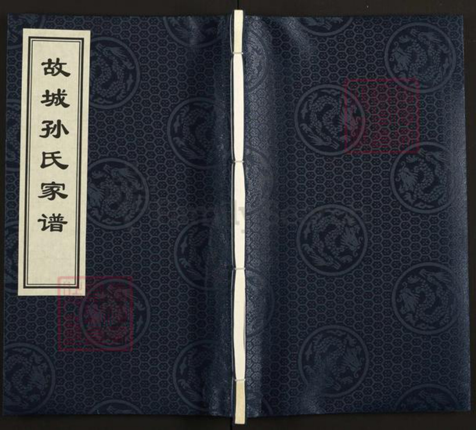 河北省衡水市故城县郑口镇孙氏族谱-故城孙氏家谱.pdf电子版插图
