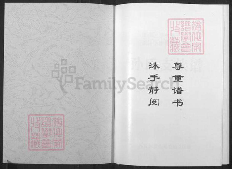 山东省淄博市淄川区孙氏族谱-淄川孙氏支族谱.pdf电子版插图1