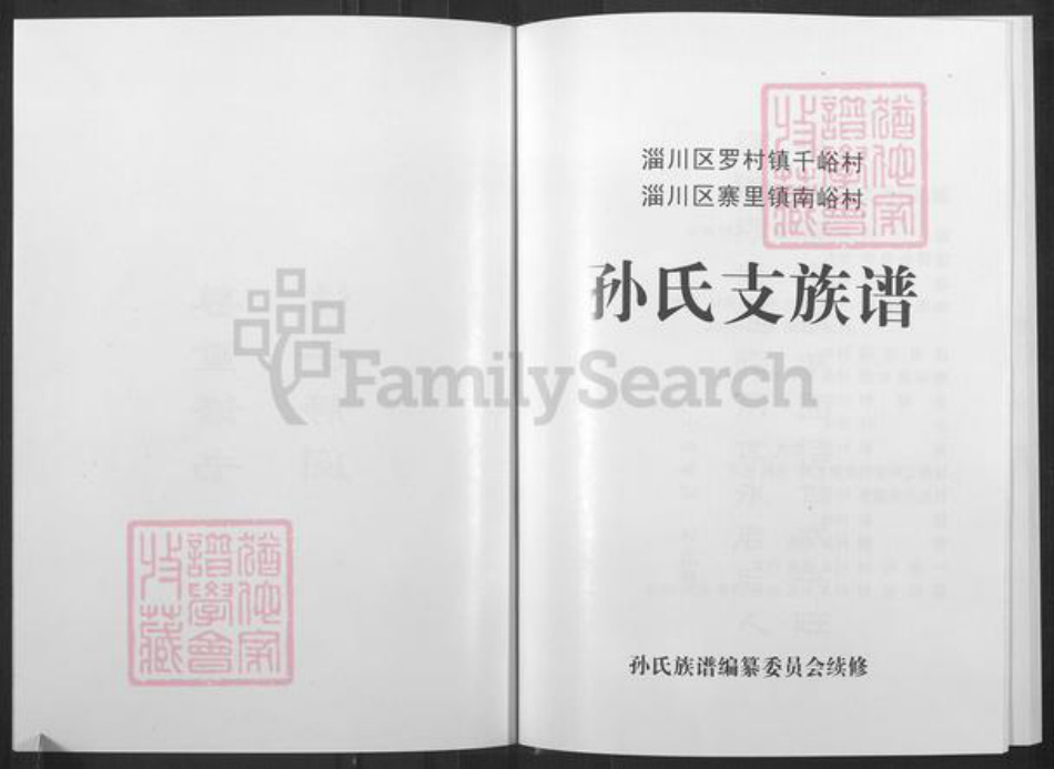 山东省淄博市淄川区孙氏族谱-淄川孙氏支族谱.pdf电子版插图2