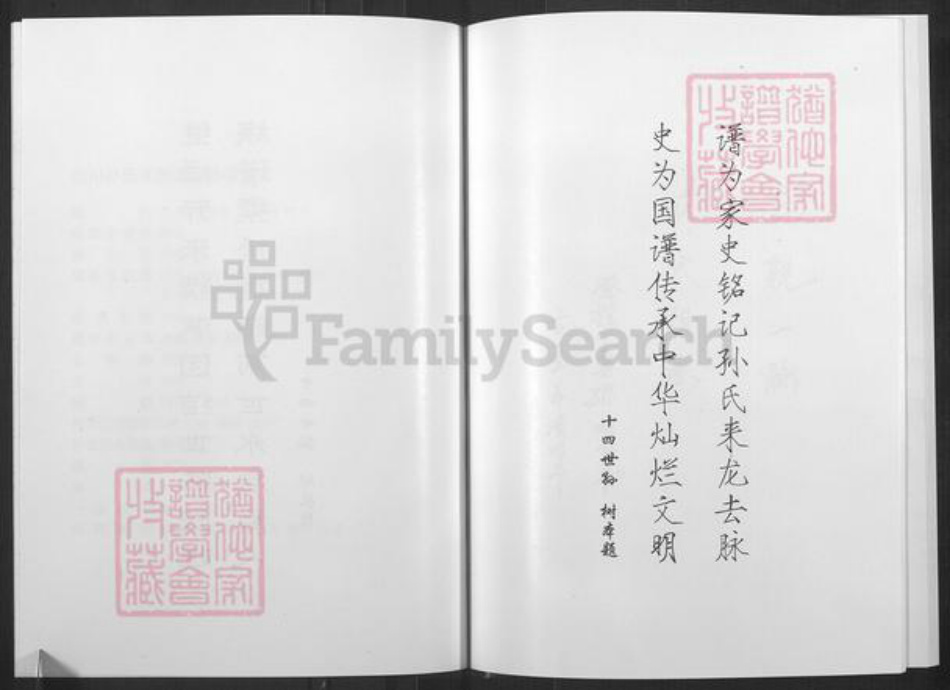 山东省淄博市淄川区孙氏族谱-淄川孙氏支族谱.pdf电子版插图4
