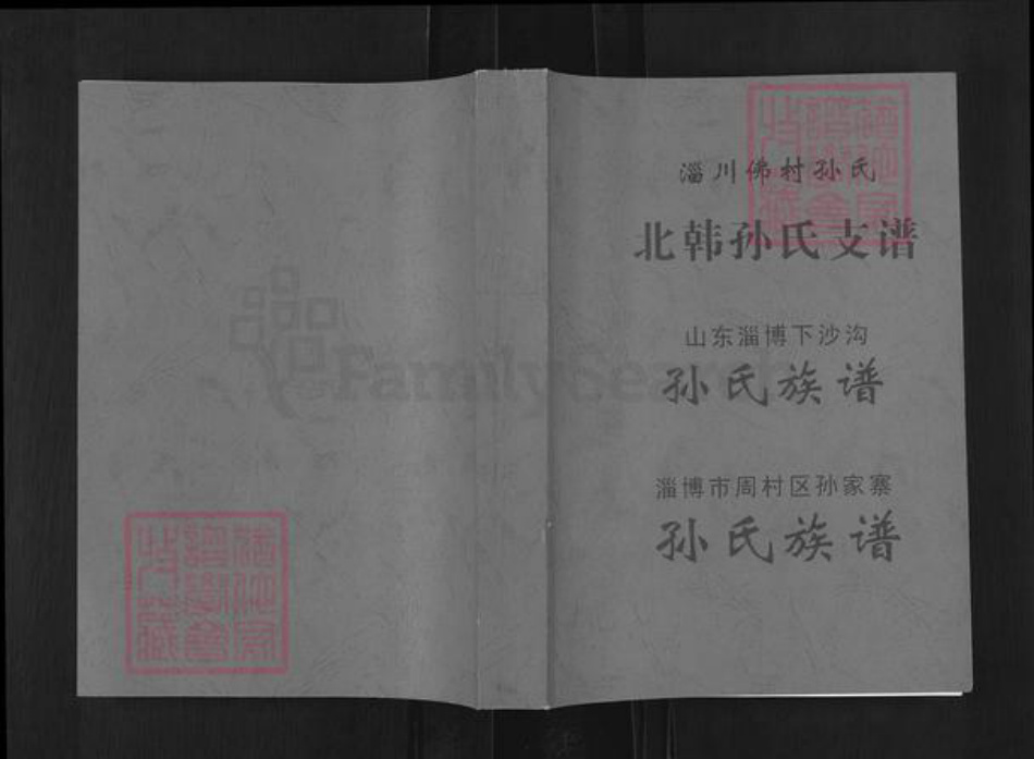 山东省淄博市淄川区孙氏族谱-北韩孙氏支谱.pdf电子版插图