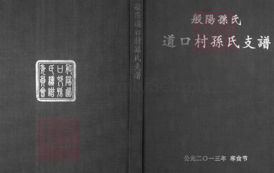 山东省淄博市淄川区孙氏族谱-般阳孙氏道口村孙氏支谱.pdf电子版插图