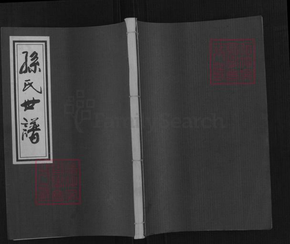 山东省滨州市邹平市长山镇孙氏六和堂族谱-孙氏世谱.pdf电子版插图