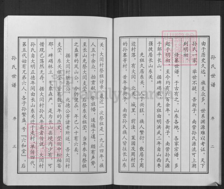 山东省滨州市邹平市长山镇孙氏六和堂族谱-孙氏世谱.pdf电子版插图4