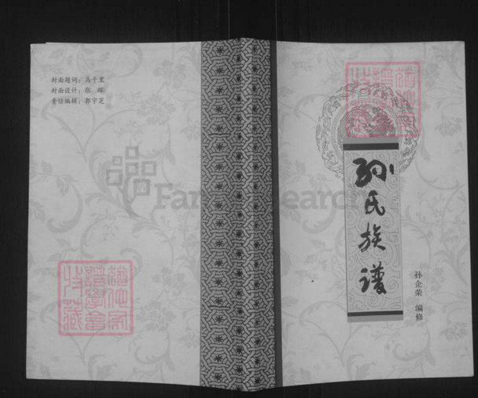 山西省运城市绛县陈村镇孙氏族谱-孙氏族谱.pdf电子版插图