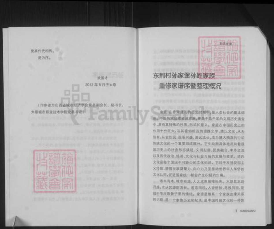 山西省运城市绛县陈村镇孙氏族谱-孙氏族谱.pdf电子版插图4
