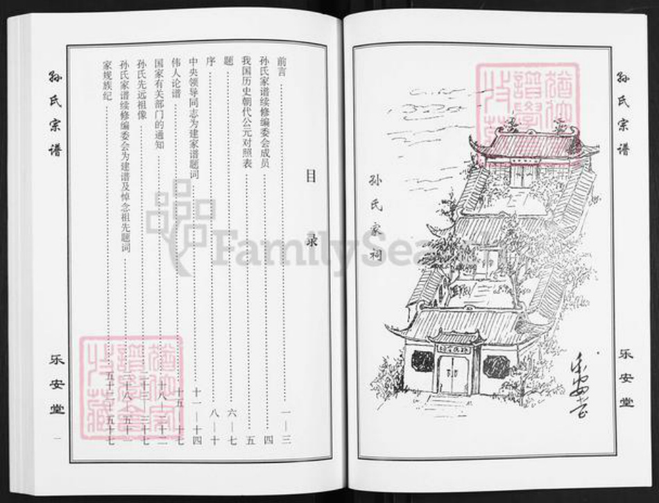 江苏省盐城市亭湖区孙氏乐安堂族谱-孙氏宗谱.pdf电子版插图3