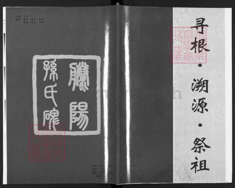 山东省枣庄市滕州市孙氏族谱-滕阳孙氏谱.pdf电子版插图
