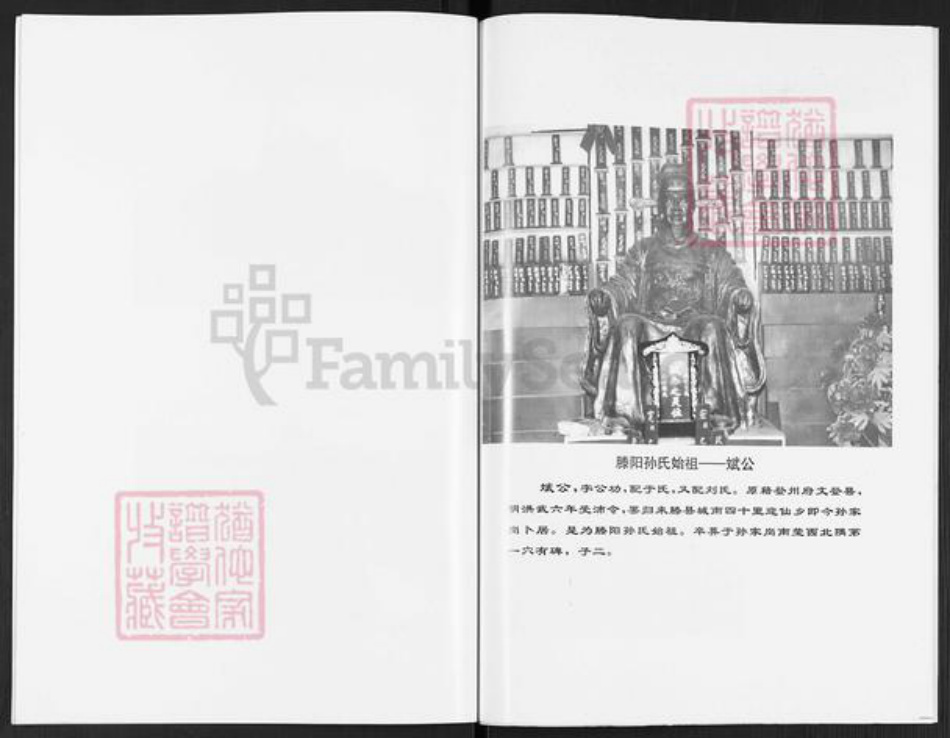 山东省枣庄市滕州市孙氏族谱-滕阳孙氏谱.pdf电子版插图4