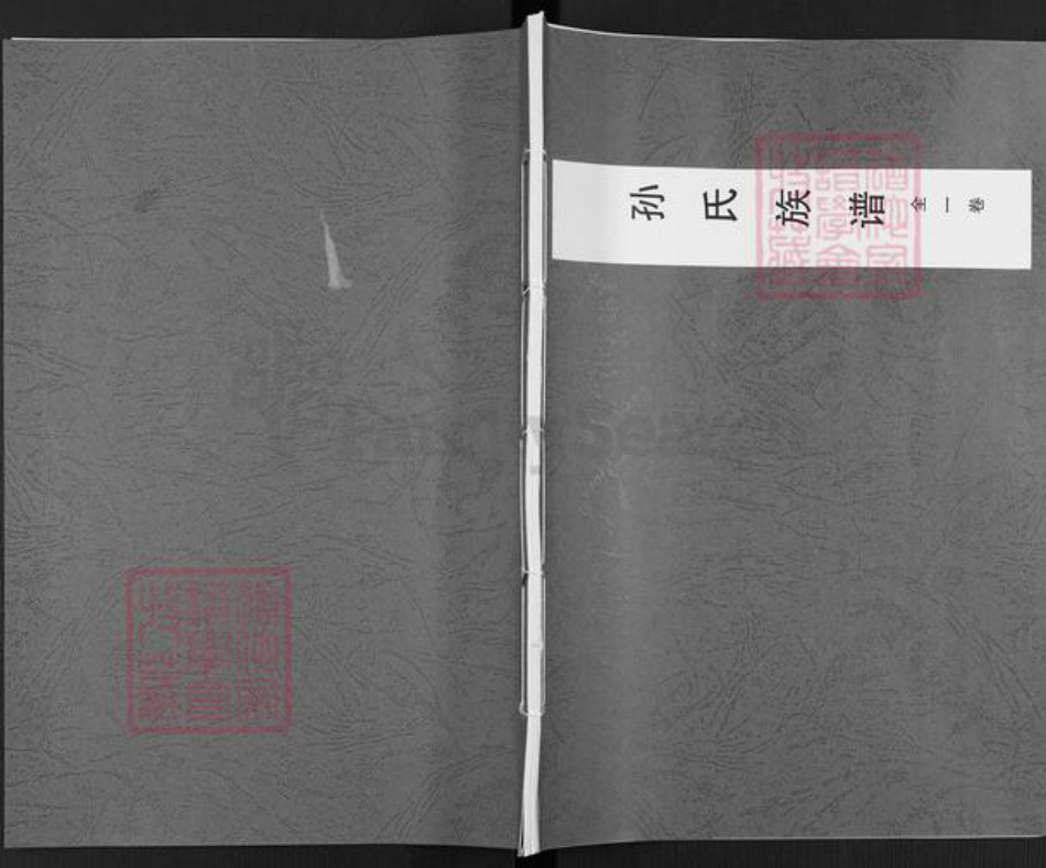 河南省三门峡市陕州区张湾乡孙氏族谱-孙氏族谱.pdf电子版插图