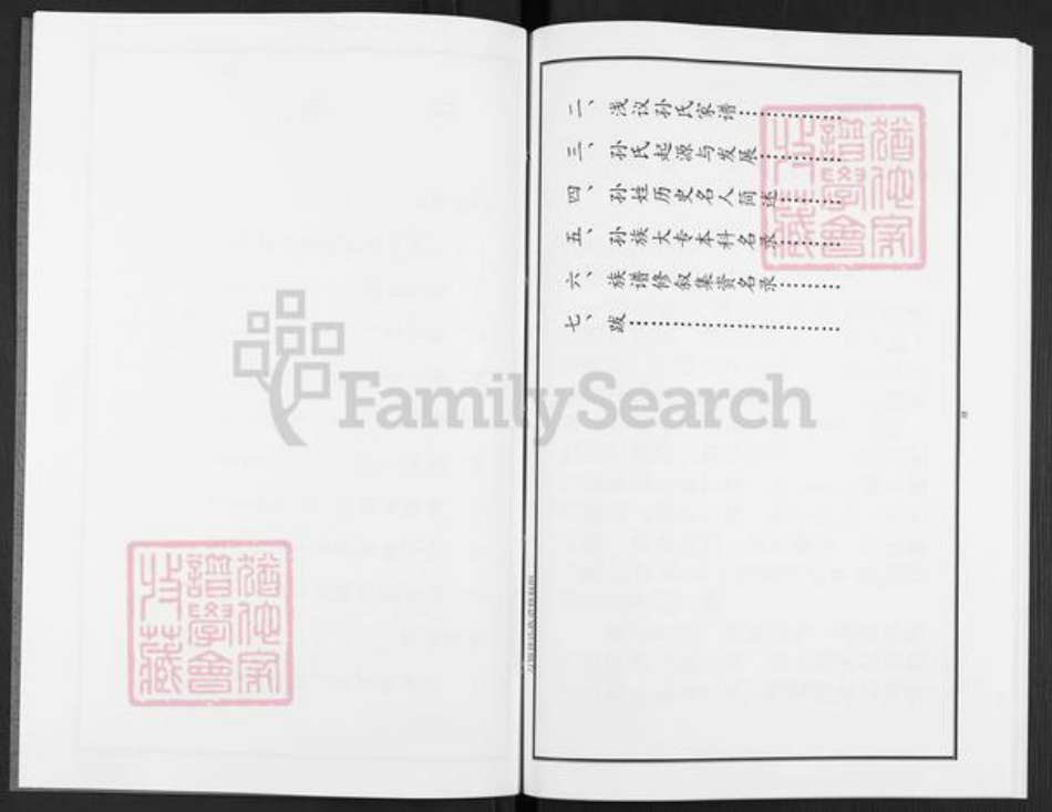 河南省三门峡市陕州区张湾乡孙氏族谱-孙氏族谱.pdf电子版插图4