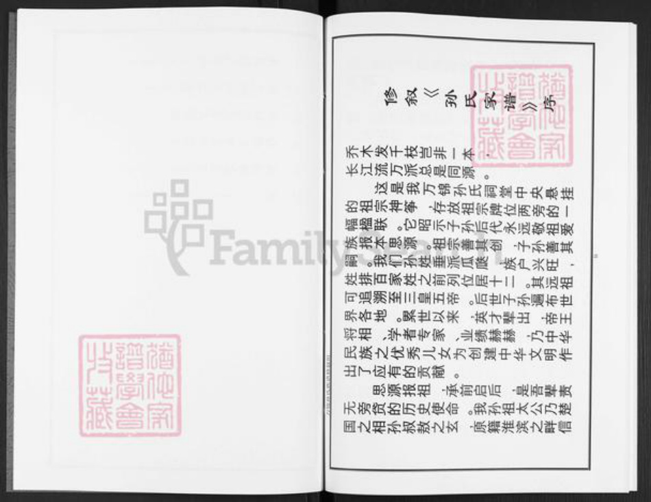 河南省三门峡市陕州区张湾乡孙氏族谱-孙氏族谱.pdf电子版插图5